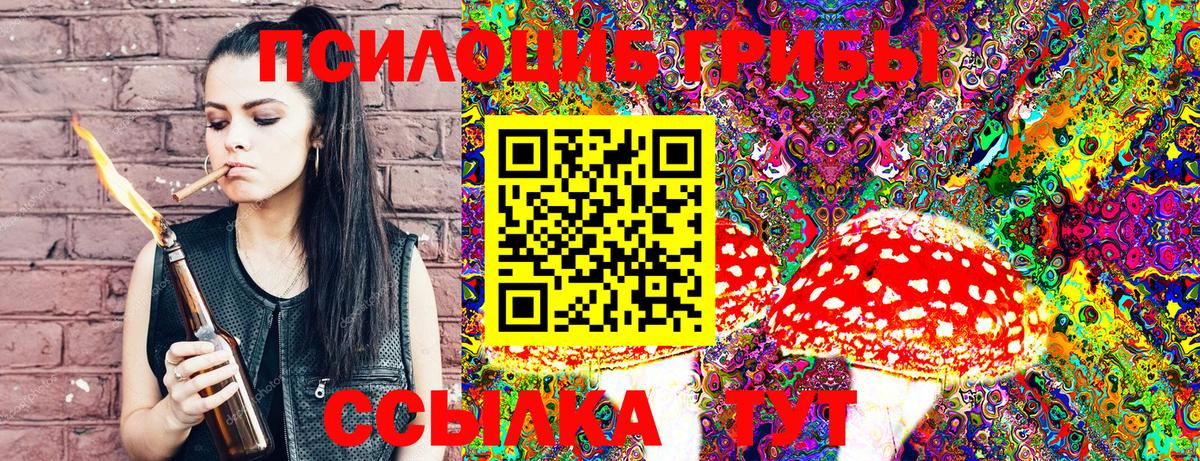 Псилоцибиновые грибы Psilocybe Старый Оскол